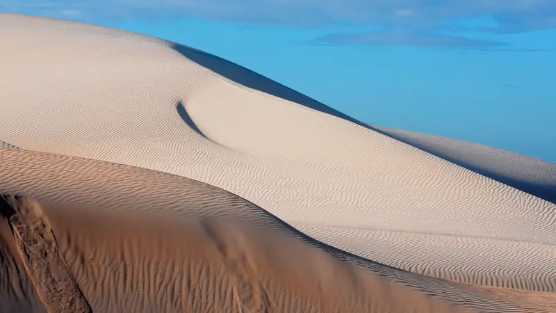 The dunes of the Gran Desierto de Altar